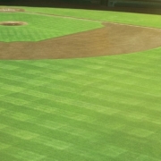 moneyball
